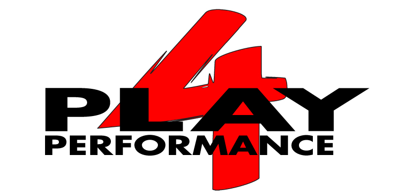 Make & Model :: Polaris :: Ace - 4 Play Performance